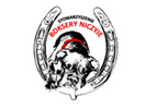 STOWARZYSZENIE BOKSERY NICZYJE